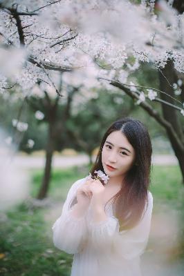 许我耀眼电视剧在线观看